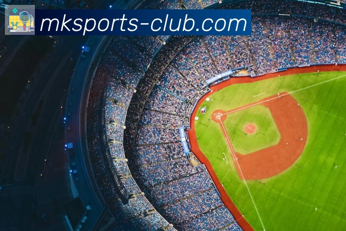 MK体育平台生态图