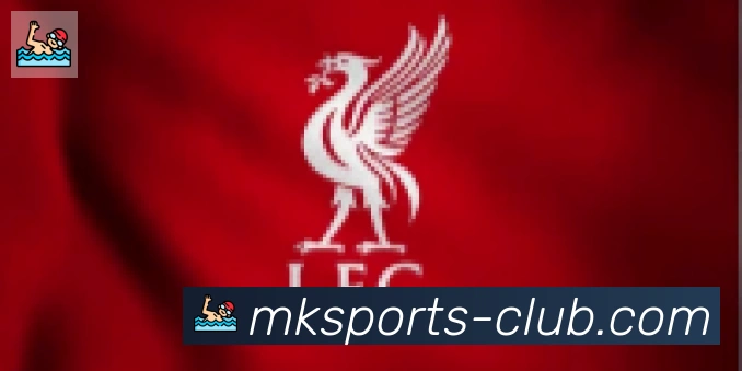 MK体育合作伙伴