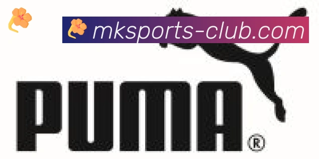 MK体育合作伙伴