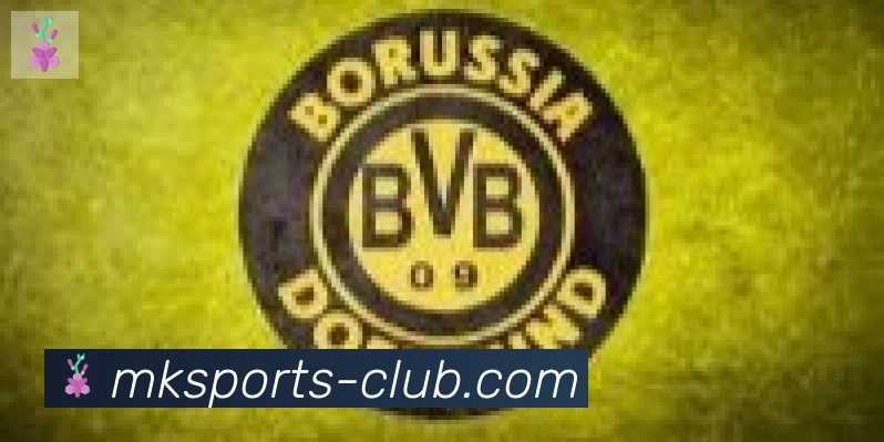 MK体育合作伙伴