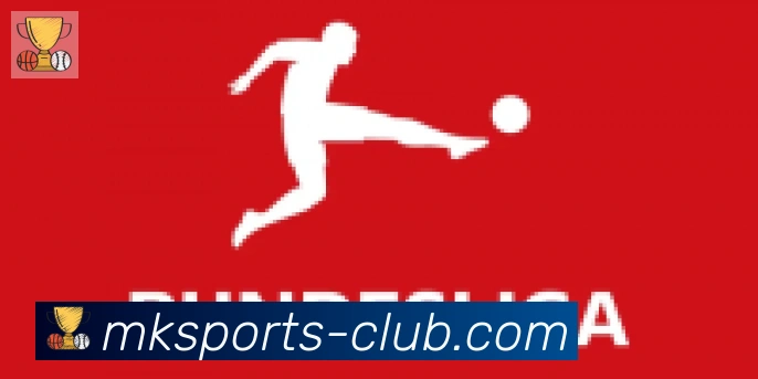 MK体育合作伙伴